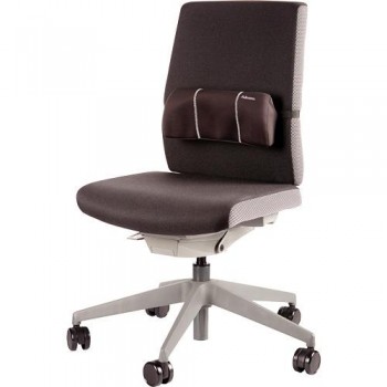 Cojin lumbar portatil Fellowes 8042101