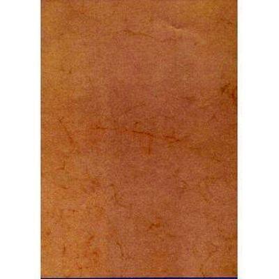 Papel textura habana 200 gramos 10 hojas Apli 11960