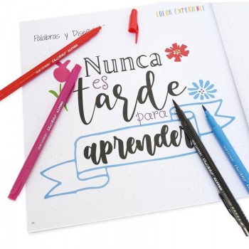 Set de 12 rotuladores + Libro guía iniciación al Lettering AR001052