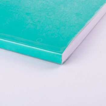 Forra libros autoadhesivo rollo 3,00x0,50 metros 80 micras Apli 429