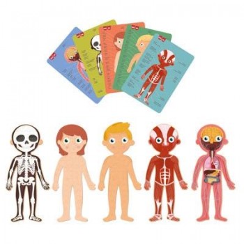 Juego Apli 19438 puzle cuerpo humano 240 piezas