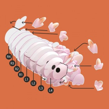 Expositor Apli Puzles 3D Dragones 19942 6 unidades