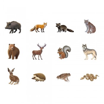 Gomette Apli 20054 Pack 4 Rollos Animales marinos, terrestres, exoticos, pajaros