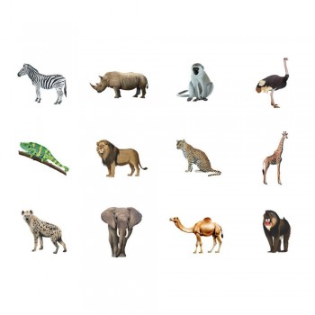 Gomette Apli 20054 Pack 4 Rollos Animales marinos, terrestres, exoticos, pajaros