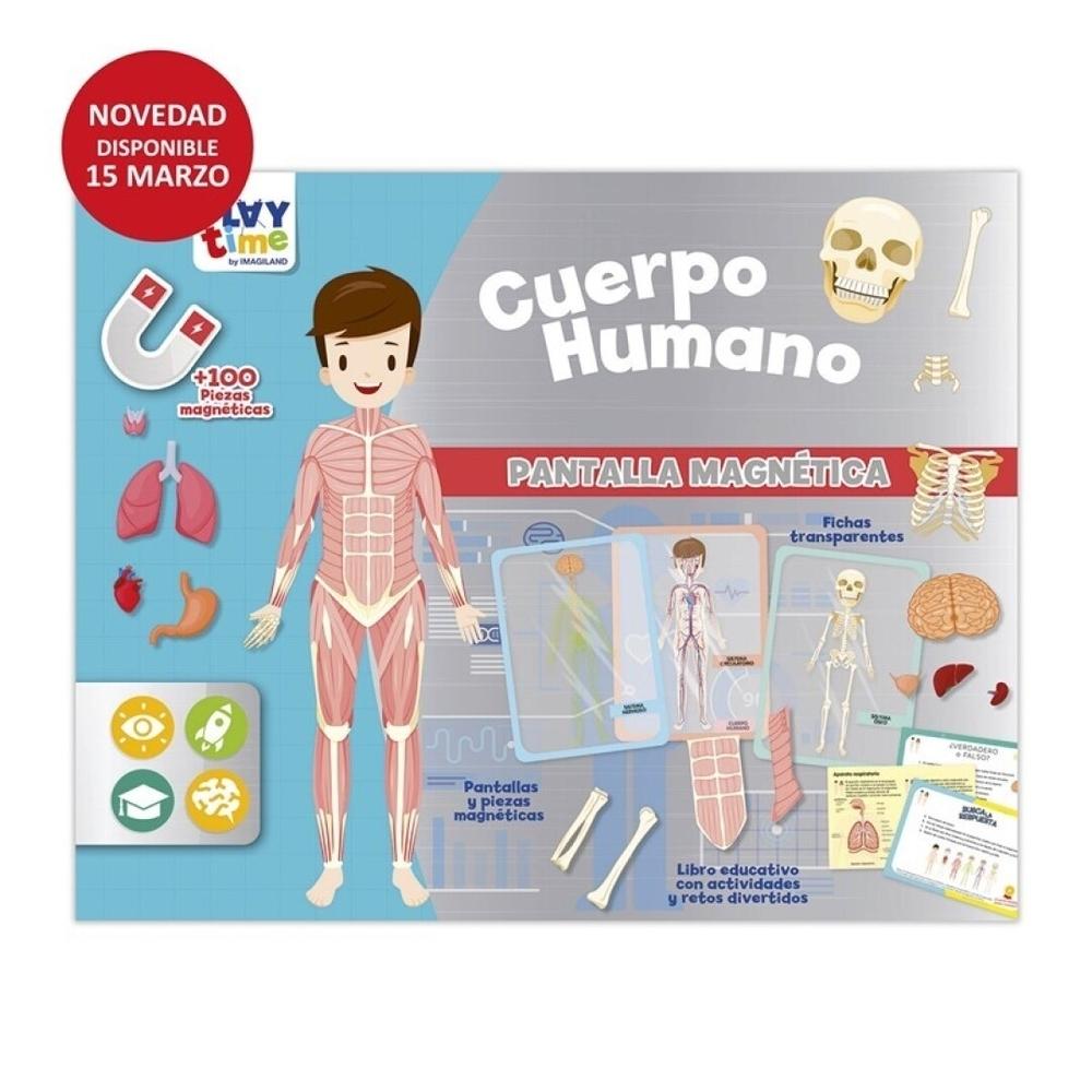 Pantalla magnetica - El cuerpo humano Imagiland PTMAG01