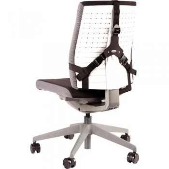 Respaldo Lumbar Ultimate Professional Series 8041801